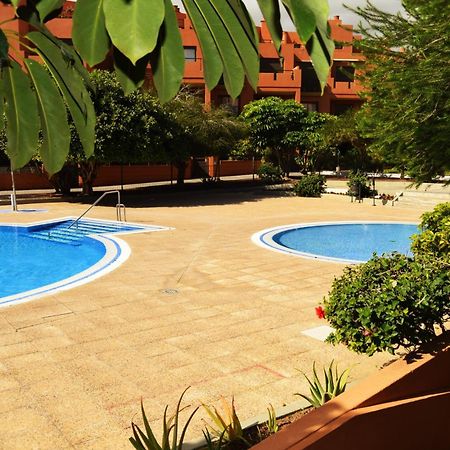 Alquilaencanarias El Medano Sotavento, Great Terrace And Beach מראה חיצוני תמונה